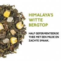 product thee groene thee pakket himalaya s witte bergtop 1024x1024