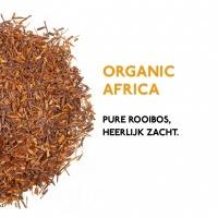 product thee rooibos thee pakket organic africa 1024x1024